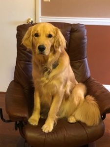 Our Therapy Dog, Nala